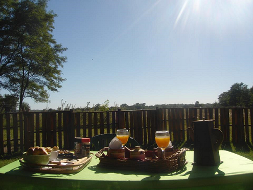 Desayuno